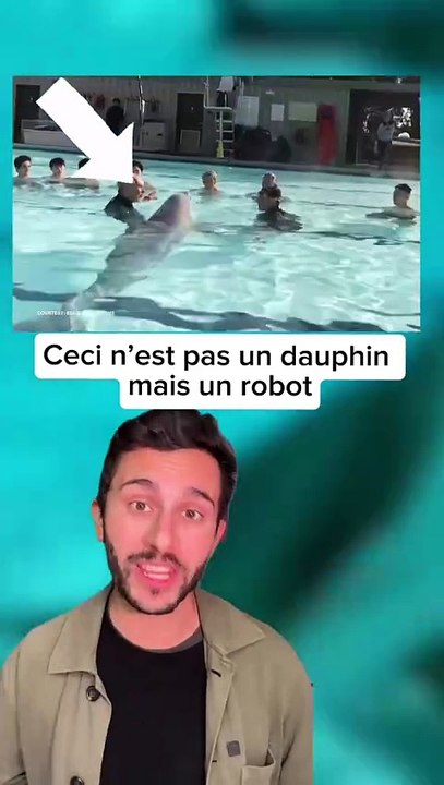 Des robots-dauphins en faveur du bien-être animal