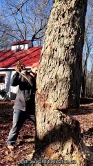 30 unexpected tree close calls