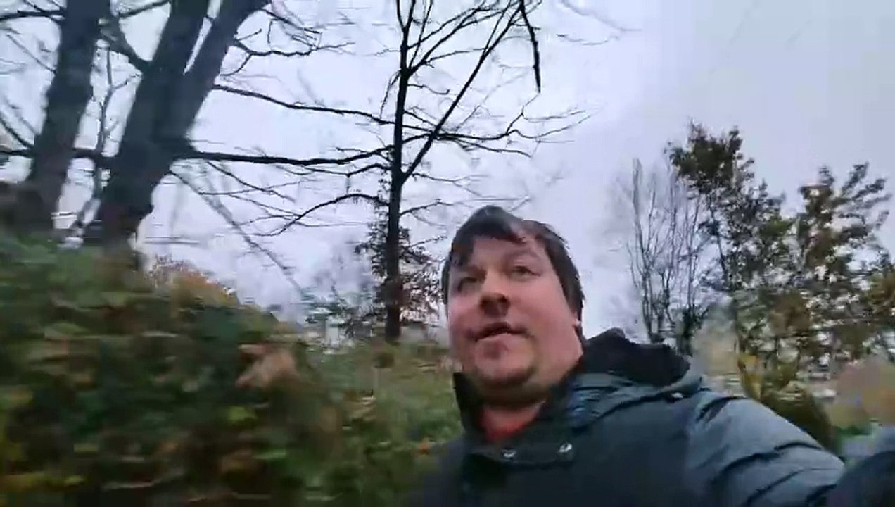 Leon Elektronik - Neuigkeiten & Zeigt die Haiter Erneut an, Frank Treiber geht unter. 12.11.2024 V1