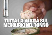 Tutta la verità sul mercurio nel tonno