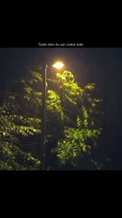 Emotional Love Reunions 💖 | Heartwarming Scenes & Songs