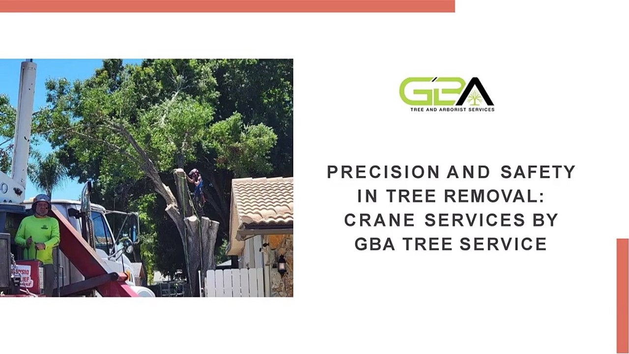 Precision and Safety in Tree Removal_ Crane Services by GBA Tree Service