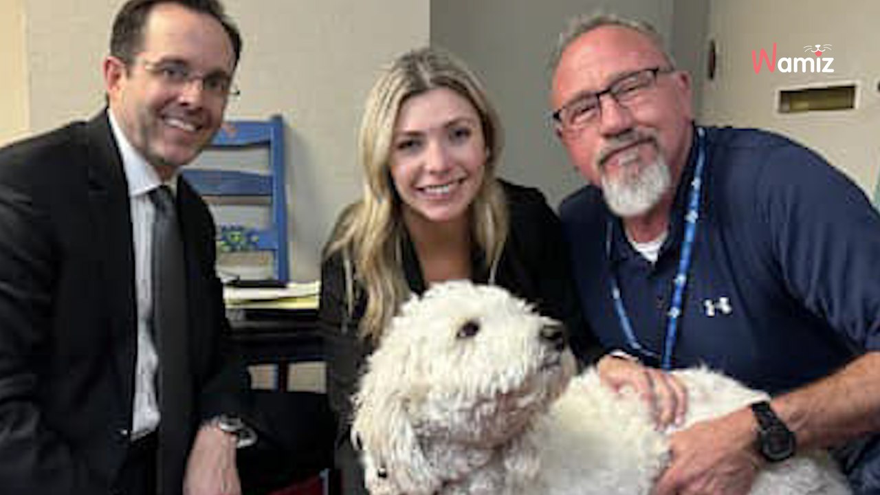 « Il est la clé dans cette affaire » : la micro-puce d'un chien permet d'identifier le coupable d'un meurtre