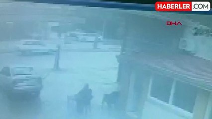 Adana'da Kuzeni Tarafından Vurulan Adam Öldü