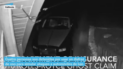 Cuatro detenidos por simular ataques a automóviles disfrazados de oso