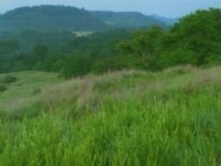 West Virginia Mountaintop Removal