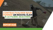 Réussites paysannes : Contractualiser pour donner un nouvel élan à la filière arachide