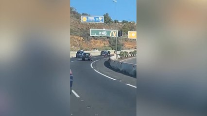Surrealista: se baja de su coche en plena autopista para perseguir a un pato y colapsa el tráfico