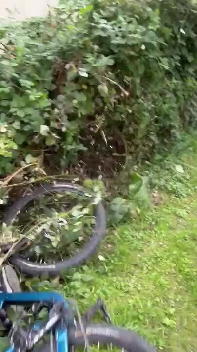 Boy Crashes Mountain Bike Into Hedge After Failed Jump off Ramp