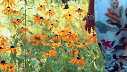 Morning Affirmations for Success