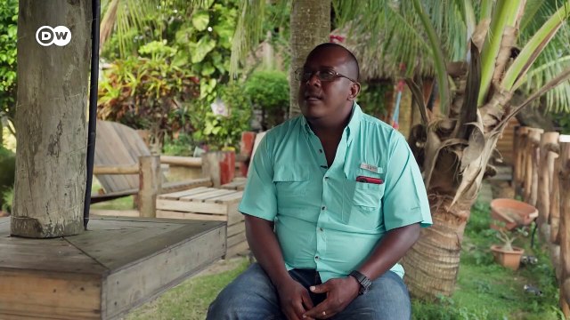 From reforestation to CO2 compensation Companies dirty tricks DW Documentary_720p