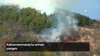 Kahramanmaraş'ta orman yangını