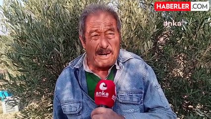 Emekli Kadir Çıral: Maaşım yetmiyor, zeytin toplamak zorundayım