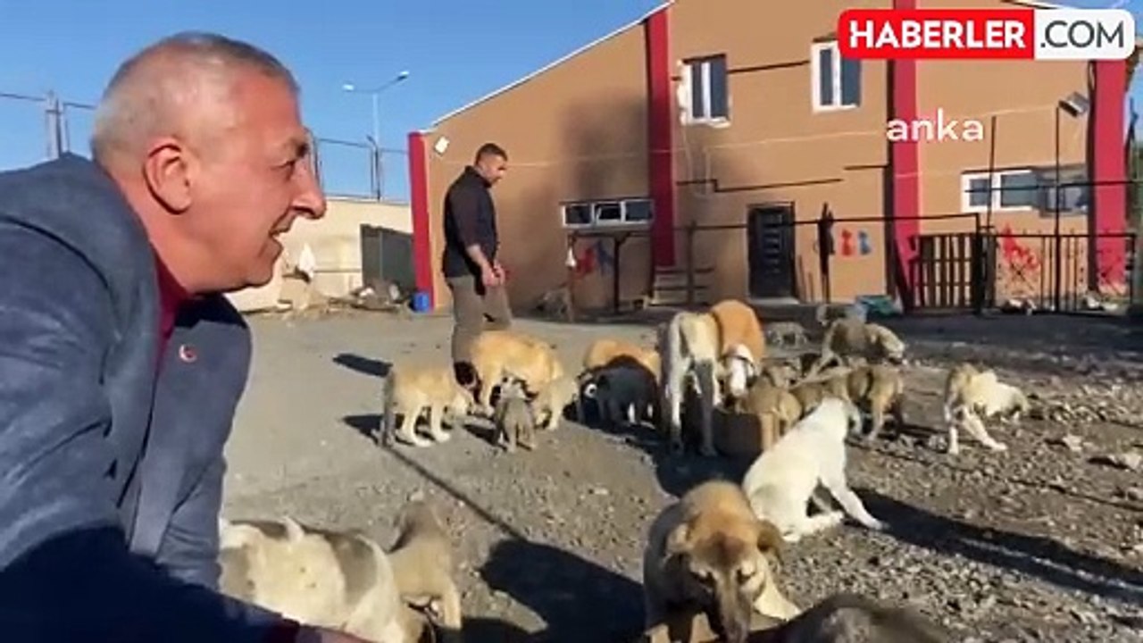 Göle Belediyesi Yeni Sokak Hayvanları Bakım Merkezi Açtı