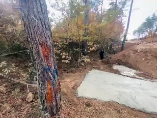 Cengiz Holding, Kazdağları’na beton dökmeye başladı: Danıştay'dan yürütmeyi durdurma kararı bekleniyor