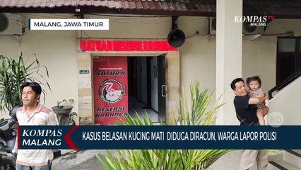 Kasus Kucing Mati Massal Berujung pada Laporan Polisi