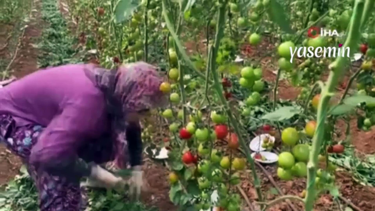 Kocası 5 çocuğuyla bırakıp kaçtı ama o yılmadı! Sevim Palas azmiyle hayran bıraktı