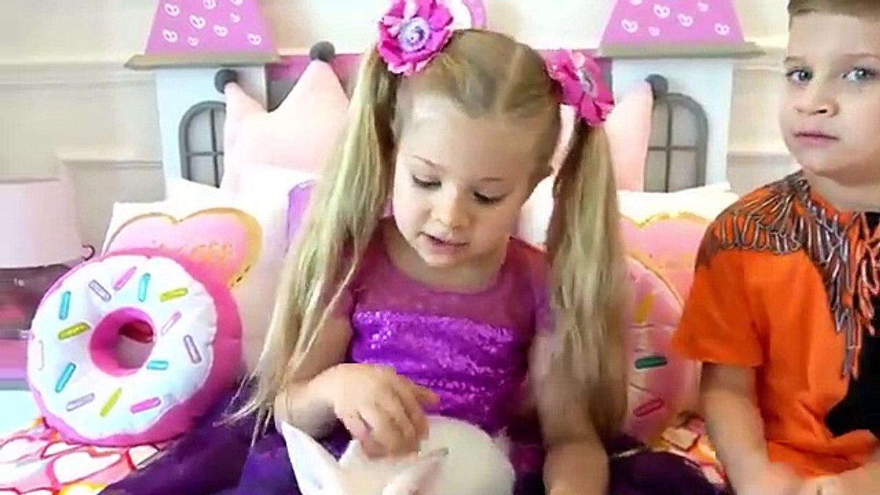 Diana and Roma - Funny Videos with Cat and Othe...