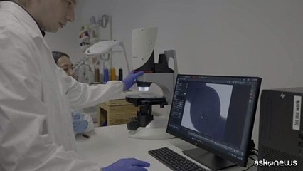 Flexibots, i micro robot smart per interventi medici nel corpo umano