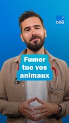 Tabac : fumer tue les animaux