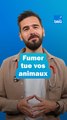 Tabac : fumer tue les animaux