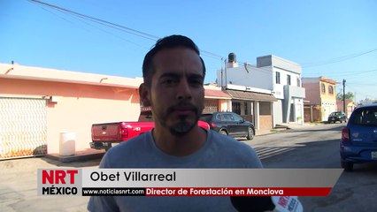 Realizan descacharrización en las viviendas de la col. Deportiva en Monclova