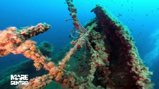 Mare Dento, nei fondali di Trapani i relitti di Pavlos e San Giorgio