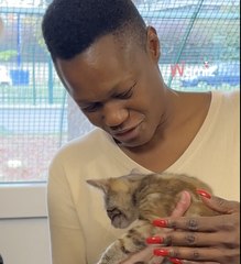 Après 3 ans de travaux, le tout nouveau refuge SPA de Gennevilliers ouvre au public