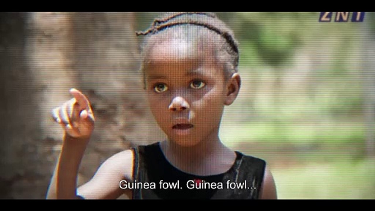 On Becoming A Guinea Fowl Trailer OV