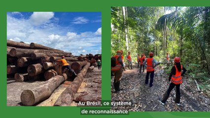 L'intelligence artificielle domine le Web Summit Lisbon 2024