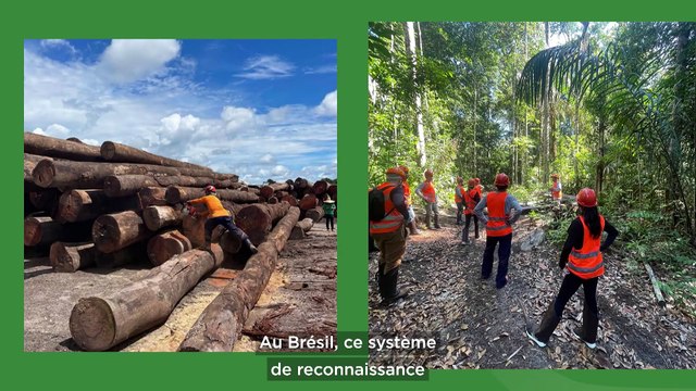 L'intelligence artificielle domine le Web Summit Lisbon 2024