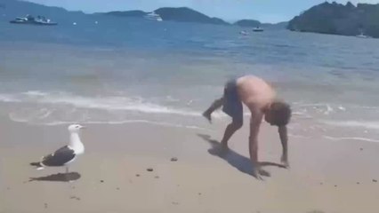 El vídeo viral de un pájaro que se rompe de risa tras ver a un hombre caerse