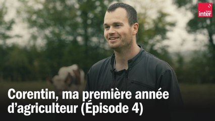 Corentin, ma première année d'agriculteur - L'automne