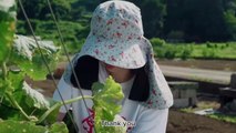 Smells Like Green Spirit Episode 4 English Subtitle