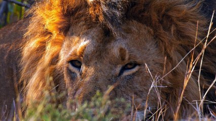 I've Got My POWER Back in This SONG!