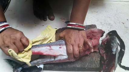 Tuna Fish Cutting at home