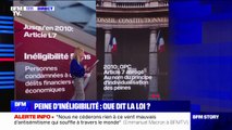 LES ÉCLAIREURS - Inéligibilité requise contre Marine Le Pen: que dit la loi?