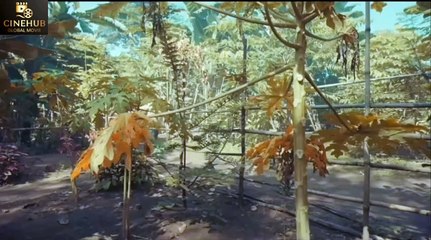 Unfaithful Life || Selina's Gold