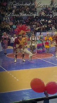 ¡Se robó el show! Perrito hace de las ‘suyas’ en la elección de Ñusta en Potosí