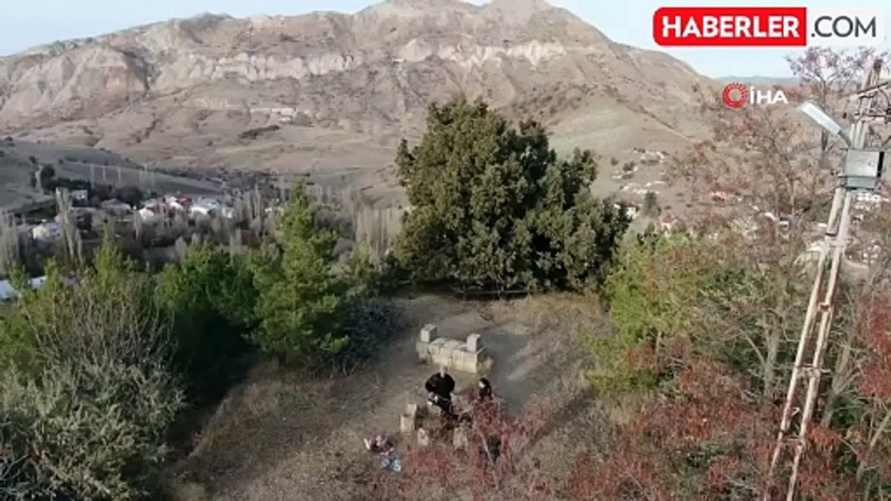 9 Asırlık Ardıç Ağacı, Göz Dolduruyor