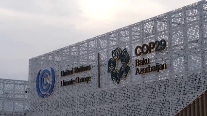 Unos 50 líderes mundiales desfilaron por la cumbre del clima de Bakú en su segunda jornada