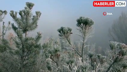 Ardahan'da Dondurucu Soğuklar Etkili Oluyor