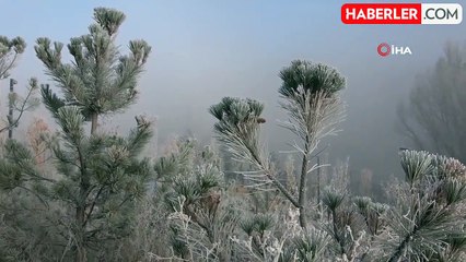 Ardahan'da Dondurucu Soğuklar Etkili Oluyor