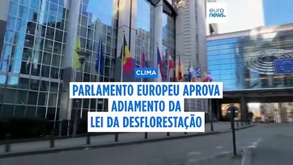 Parlamento Europeu adia e enfraquece lei sobre desflorestação