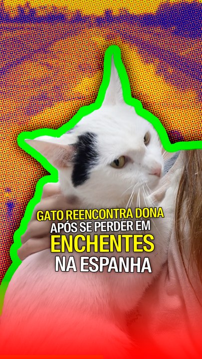 Gato reencontra dona após se perder em enchentes na espanha