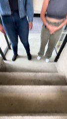 Reportaje Mundo Fungi