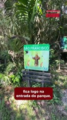 Planos pro feriadão? Parque Raimundo Malta é um passeio gratuito em BC