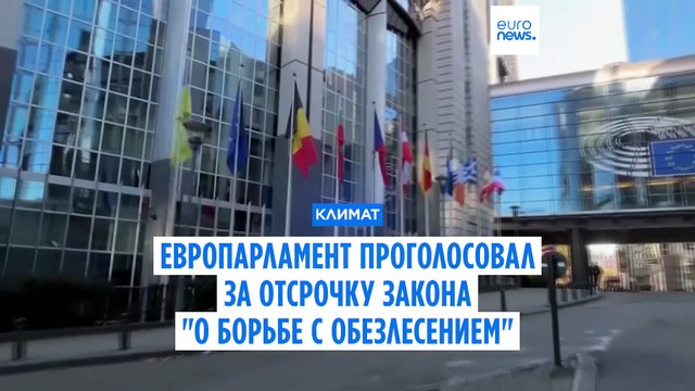 Европарламент проголосовал за годовую отсрочку принятия закона О борьбе с обезлесением