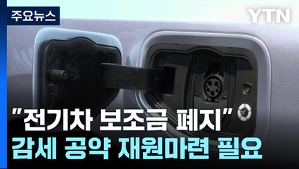 "트럼프, 전기차 세액공제 폐지 계획"...한국 업체 타격 입나? / YTN