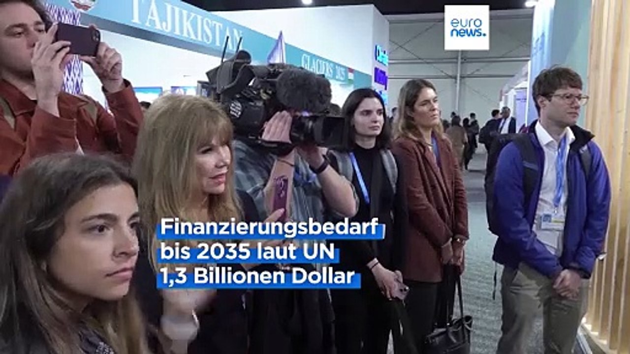 'Finanztag' auf der COP29 löst Debatten und Proteste aus